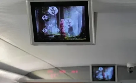 圃美多乐活红参精粹饮“坐”上高铁啦！