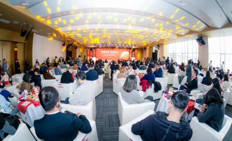 绿之韵集团精彩献演“环球荟萃 逐梦星城”2026年长沙市外商投资企业新春联谊会