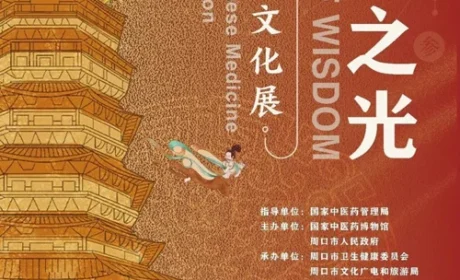 国家级中医药文化展启幕 罗麦观薇智能参加