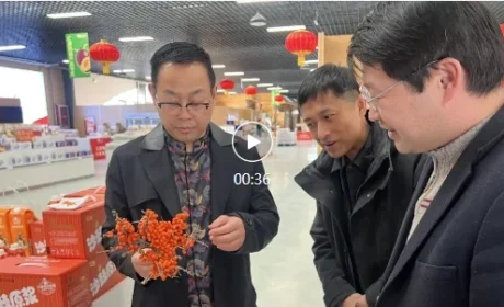 绿色有机 健康未来——富迪深化产业合作，汇源邀约共筑健康生态融合发展新篇！