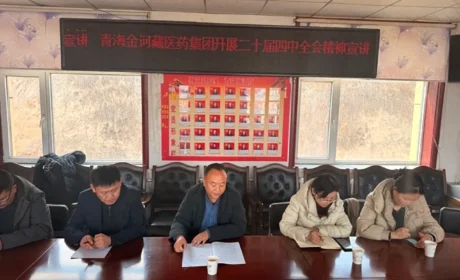 党音润基层 温情暖民心 —金诃藏药党支部赴逊佈村开展宣讲慰问