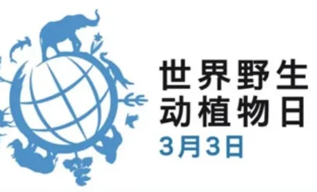 和治友德 | 世界野生动植物日：守护生命之网