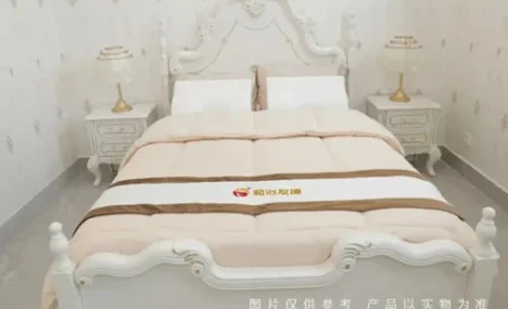 和治友德 | 春分养生指南：践行三大养生