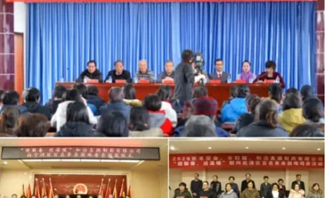 和治友德 | 妇女节：不负韶华不负梦想