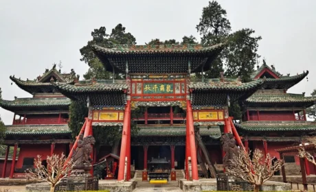 以道致远，聚义同行丨清晨生物行业媒体见面会圆满举行，擘画大健康数智化发展新蓝图