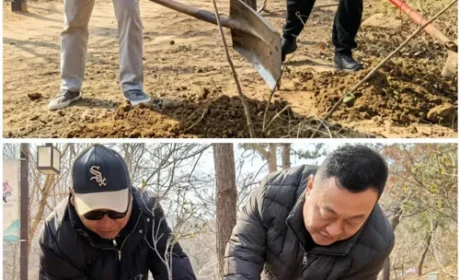 3.12植树节如期而至 长青中国植绿守青山