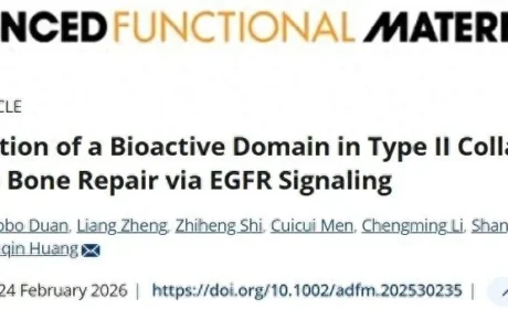 东阿阿胶“促骨抑脂”双重功能活性肽相关研究成果在国际权威期刊《Advanced Functional Materials》发表
