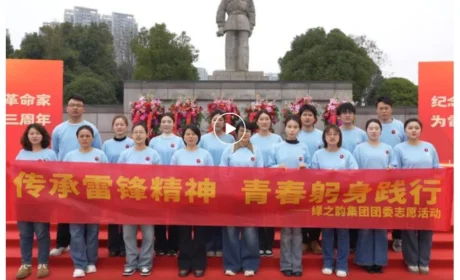 传承雷锋精神 青春躬身践行 | 绿之韵集团团委开展学雷锋主题志愿活动