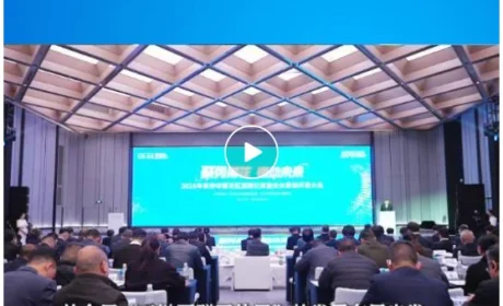 聚势雨花 链动未来 丨胡国安董事长应邀参加2026年雨花区招商引资暨优化营商环境大会举行