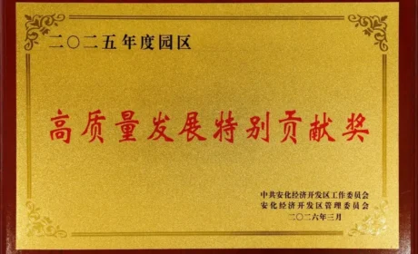 喜讯！理想华莱及其旗下公司在安化经开区2025年度表彰中揽获多项大奖