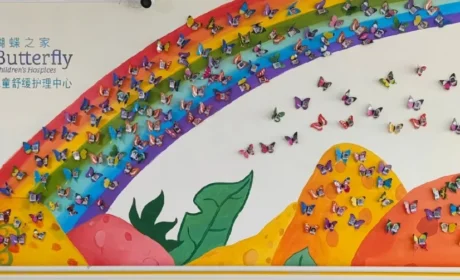 清晨·蝴蝶计划 丨以爱为翼：守护生命最后的微光