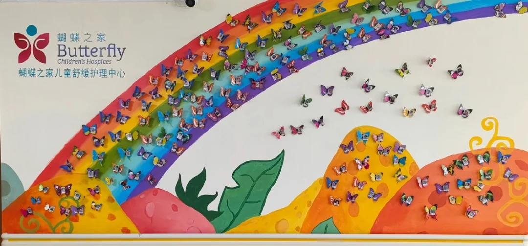 清晨·蝴蝶计划 丨以爱为翼：守护生命最后的微光