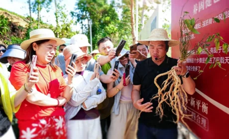 无限极 | 春夏好时节，4个研学基地迎来参观最佳期！