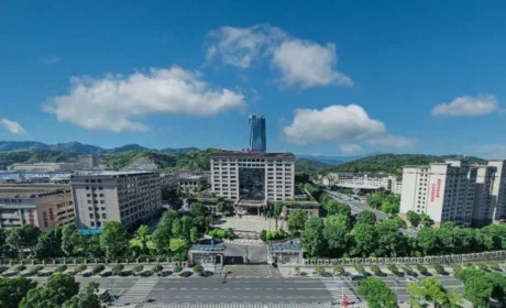 理想华莱 | 茯砖茶的“春日旅行”开始啦！