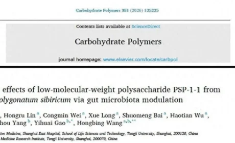 安发活性多糖研究登顶刊，高益槐院士团队揭示黄精多糖抗衰老密码