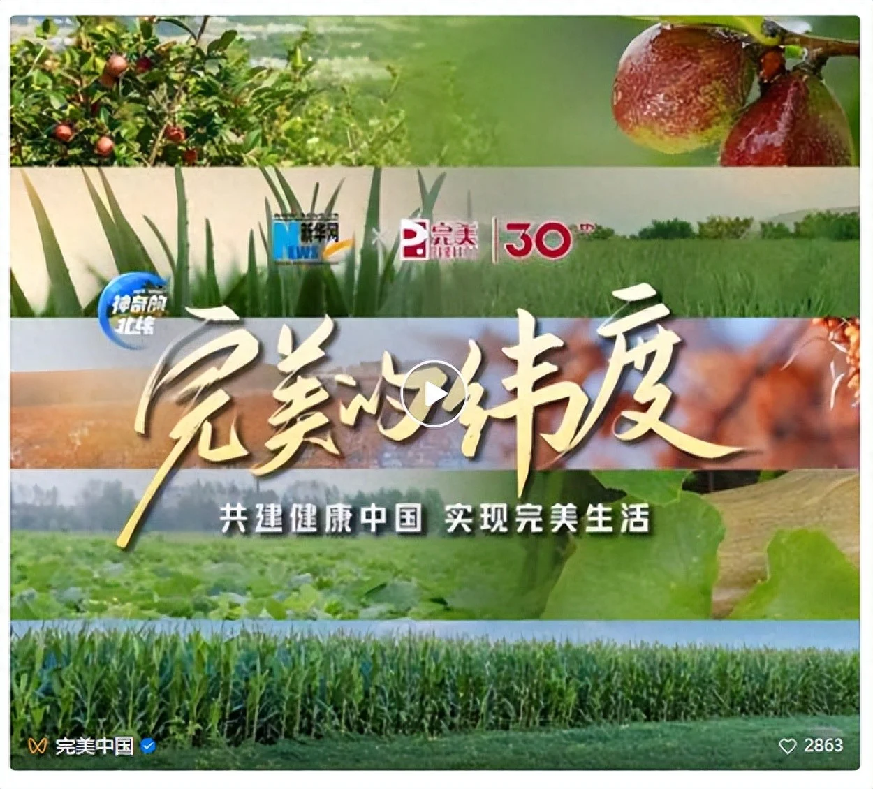 完美的纬度 | 共建健康中国 实现完美生活