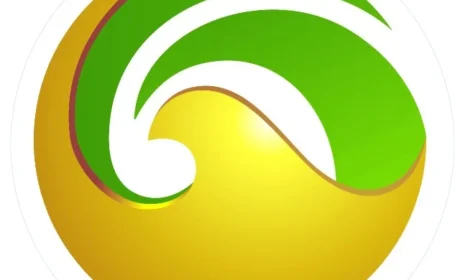 金木书院第二期菁英启航训练营日前圆满收官