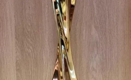 康恩贝斩获乌镇健康大会“西湖奖”重磅荣誉