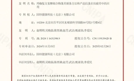 新时代 | 权威奖项认可！松延膏开启国民健康食养新选择