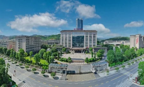 筑强科创平台 赋能黑茶振兴 理想华莱五大科研平台驱动产业高质量发展