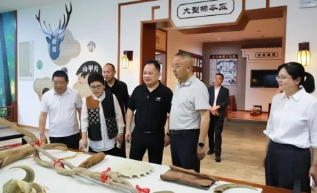 陇西县委副书记、县长陈文广一行考察康美（亳州）中药城