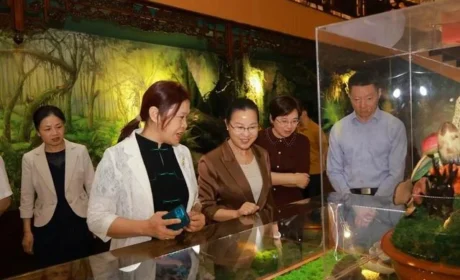 全国妇联妇女发展部副部长奉朝晖在安惠调研