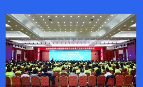 锁氢、抗衰、矽肺攻坚，双迪氢研究布局走到哪一步了？