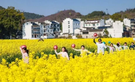 自然阳光“童伴妈妈”：不做过客式公益，让陪伴不止一季