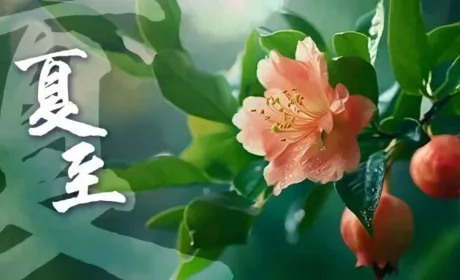 和治友德 | 夏至养生指南：践行三大养生 避免三大禁忌