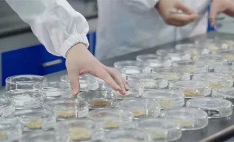 不追速度守精度:春芝堂生产观察可追溯可验证