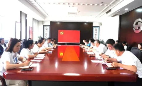 双迪党支部开展七一纪念活动 党建多措并举