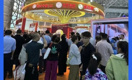 金木AI小质如何让中医“看得见”?