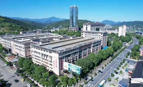 科技铸匠心 鲜叶焕茶香——实地探访理想华莱万隆黑茶产业园初制加工车间