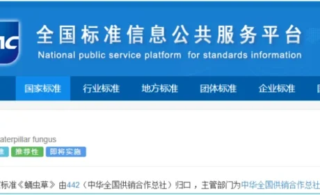 天津和治友德制药有限公司参与起草的国家标准《蛹虫草》正式发布