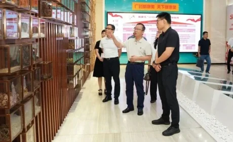 省药品监管局在康美药业开展调研指导