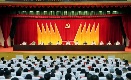 绿之韵中心党支部荣获雨花区“先进基层党组织”称号