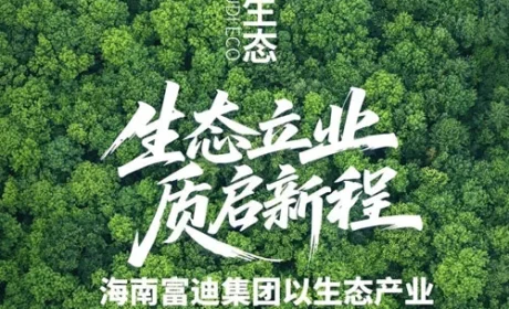 海南富迪集团以生态产业深耕助农共富新路径