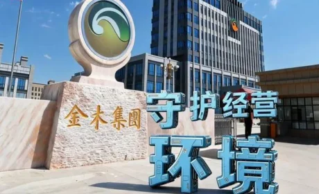 全程留痕合规溯源 金木履职服务暖心共赢