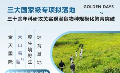金天国际天山雪莲原生境野生培育项目研讨会在新疆巩留圆满落幕