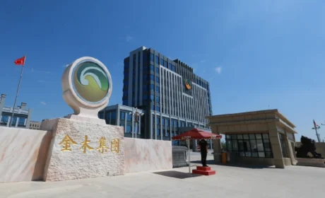 金木：合规赋能优服务 匠心深耕筑口碑