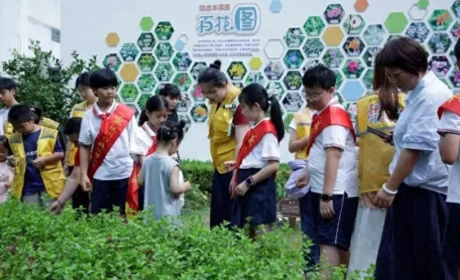 跨越山海 贯通古今 跟同仁堂来一场中医药体验之旅