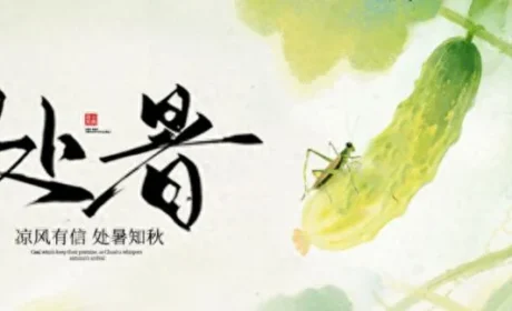 和治友德 | 处暑养生指南：暑去凉来与秋相应 三大养生巧过三关