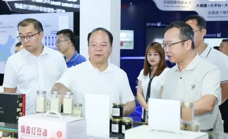 普宁市委副书记、市长林建文一行调研康美药业