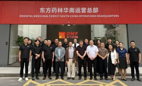 市场监管总局发展研究中心赴东方药林开展合规专题调研