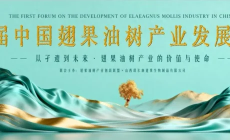 琪尔康 | 首届中国翅果油树产业发展论坛启幕在即！