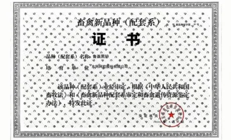 东阿阿胶牵头培育的鲁西黑驴获批畜禽新品种
