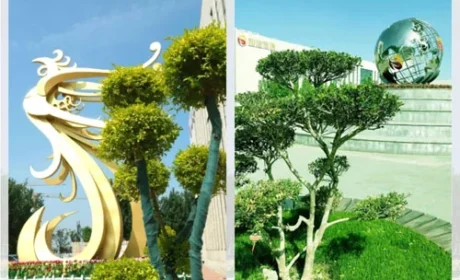 和治友德：以微小清洁之力 守护地球生生不息
