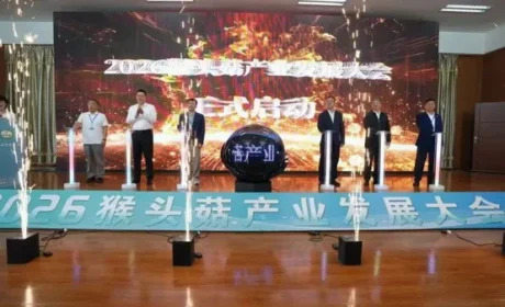 安惠董事长陈惠参加2026猴头菇产业发展大会