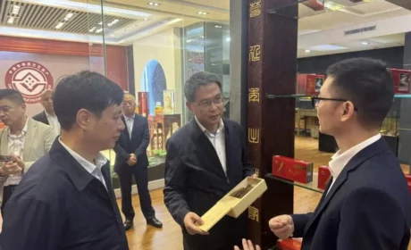 广药集团副总经理程洪进，康美药业董事长孟君一行调研康美新开河