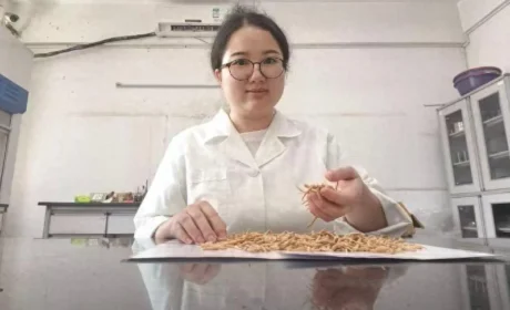 康美药业 | 从检验台到全国冠军，康美员工翁玉萍的十年匠心路